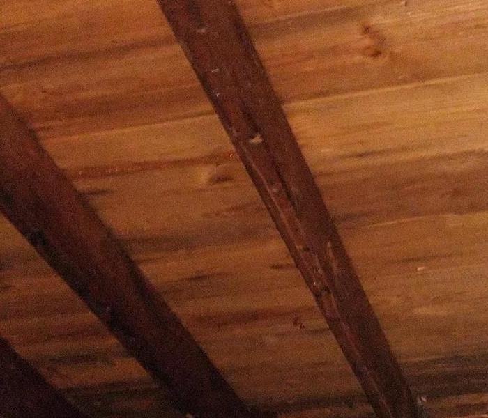 Residue cleanup in attic. 