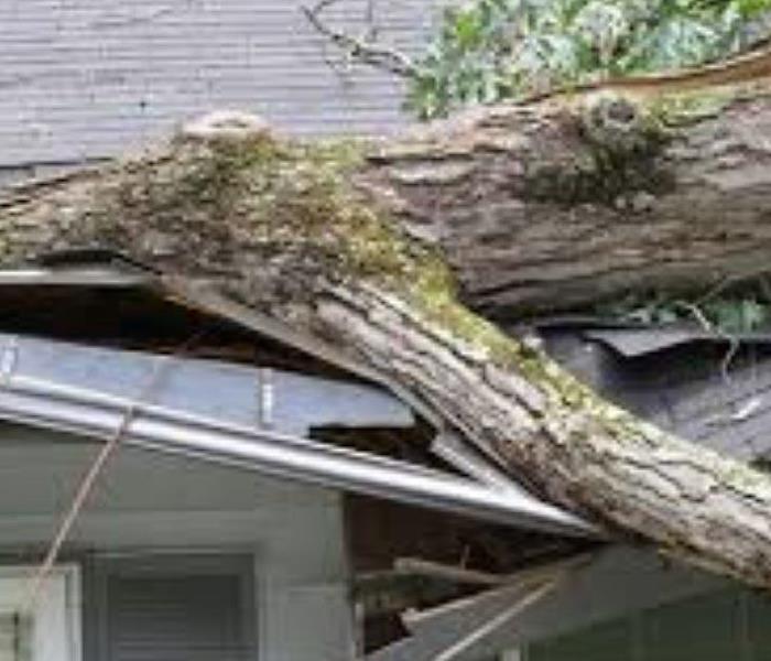High Winds Cause Trees to Fall on Homes in New England