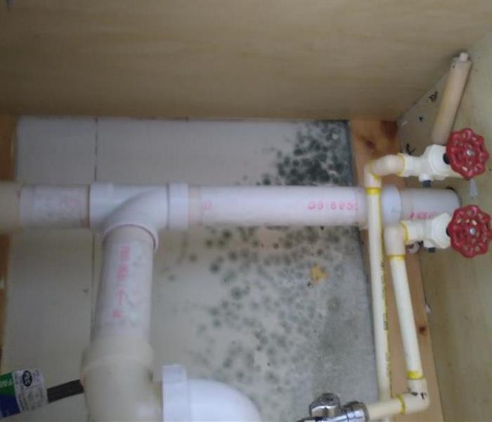 Mold caused by high relative humidity