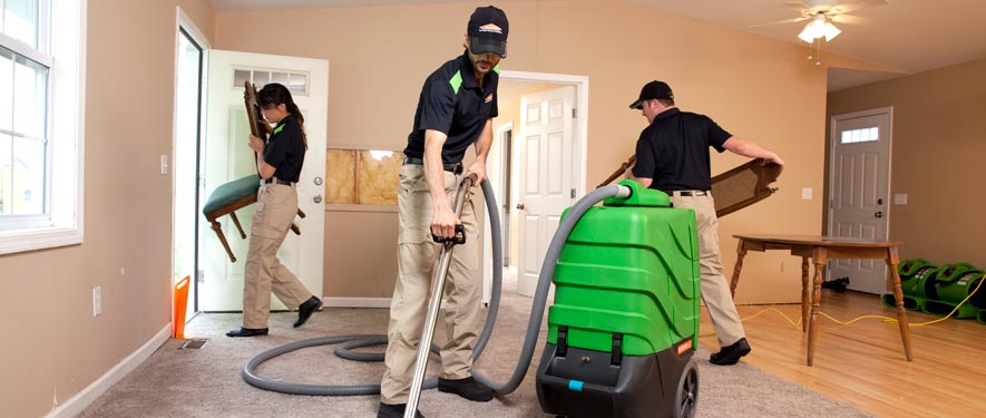 Springfield, MA cleaning services
